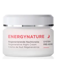 Annemarie Börlind ENERGYNATURE Regenerierende Nachtcreme 399,80€/1l 