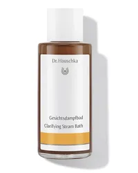 Dr. Hauschka Reinigung Gesichtsdampfbad 165,06€/1l 