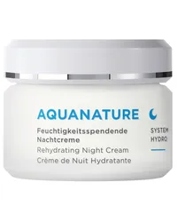 Annemarie Börlind AQUANATURE Feuchtigkeitsspendende Nachtcreme 514,40€/1l 