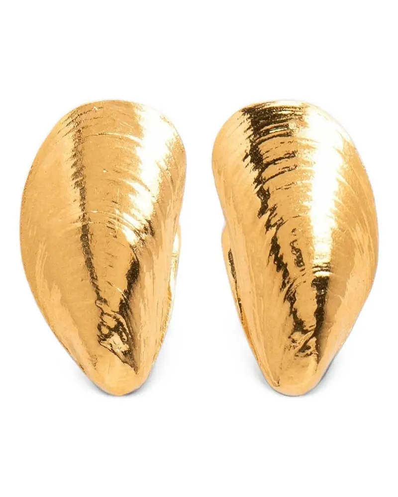 Wouters & Hendrix Ohrstecker mit Muschel - Gold Gold