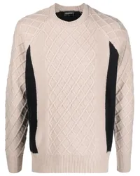 Emporio Armani Pullover in Colour-Block-Optik Nude