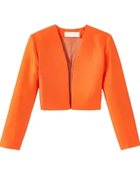 DESTREE Helmut Blazer in Satinoptik Orange