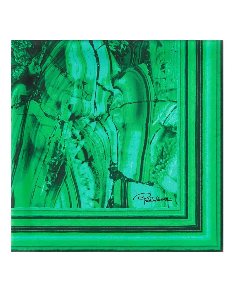 Roberto Cavalli Seidenschal mit Malachit-Print - Grün Grün