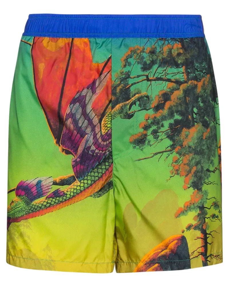 Valentino Garavani Badeshorts mit "Dragon at Dawn"-Print - Grün Grün