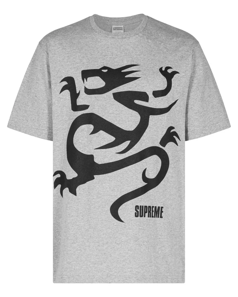Supreme Being Mobb Deep Dragon T-Shirt - Grau Grau