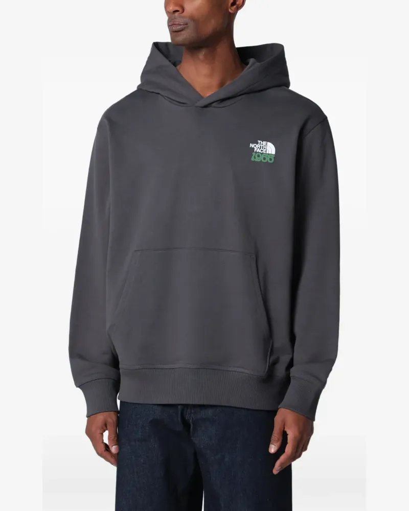 The North Face logo-print hoodie - Grau Grau