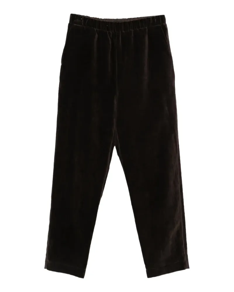 Casey Casey Long Chasse Hose aus Samt - Braun Braun