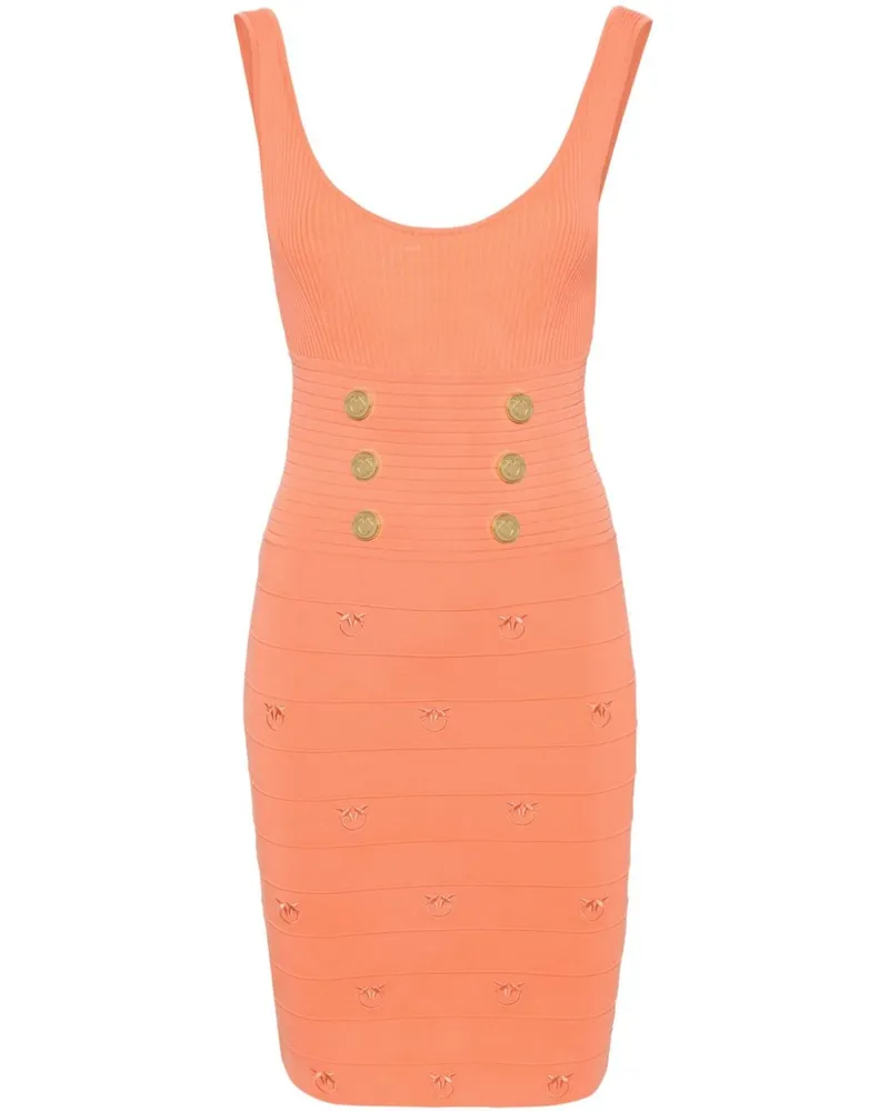 Pinko Geripptes Minikleid Orange