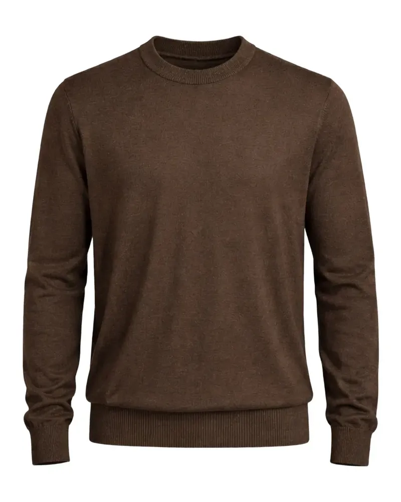 Pal Zileri crew-neck sweater - Braun Braun