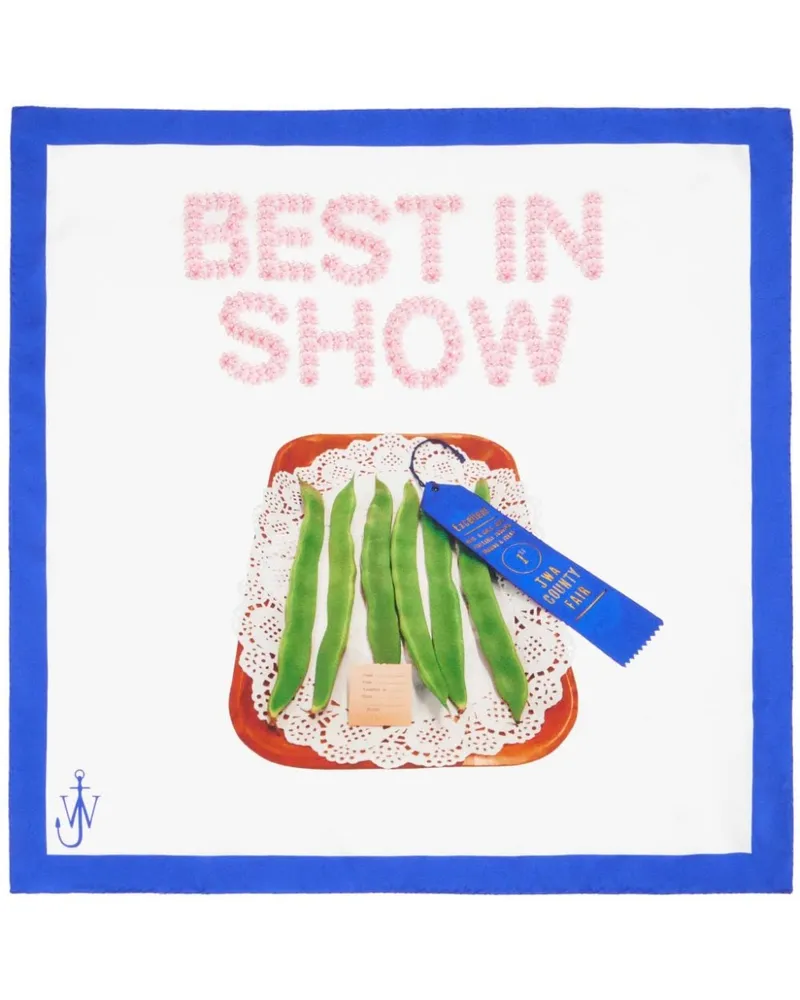 J.W.Anderson Best In Show Schal Weiß