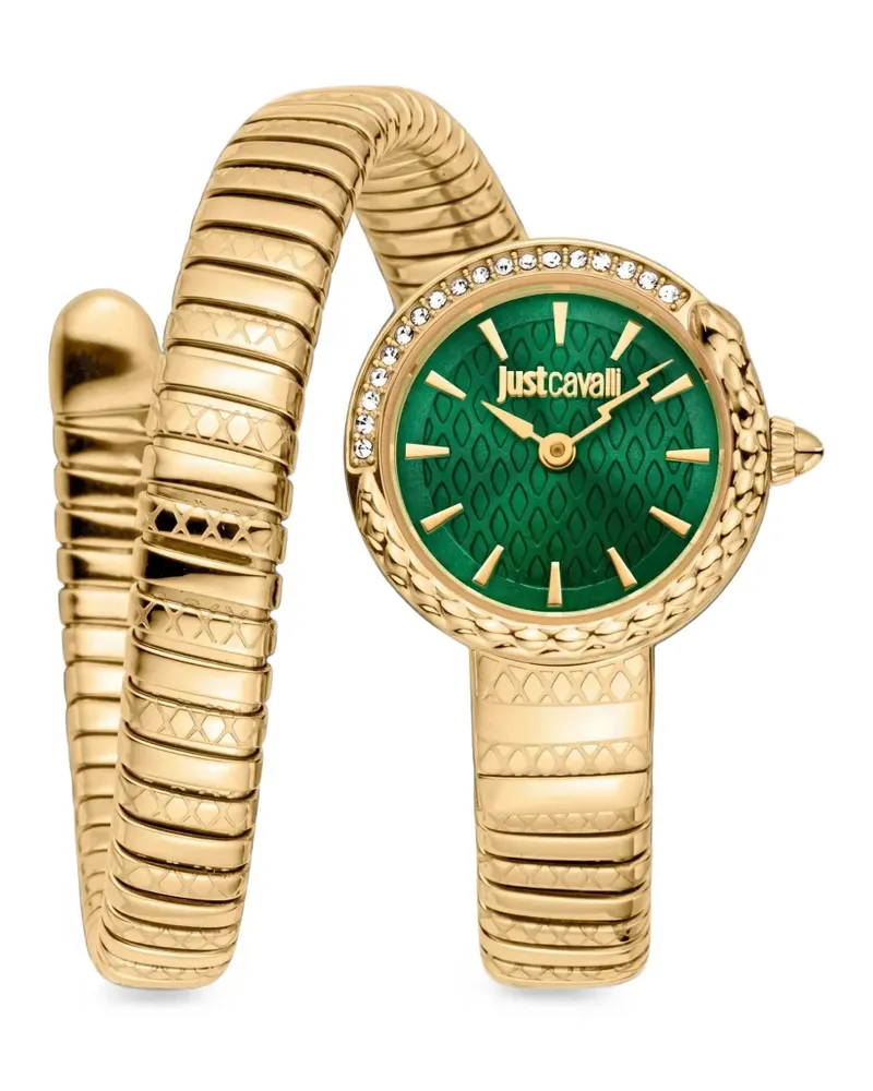 Just Cavalli Cerchio Snake 23mm watch - Grün Grün
