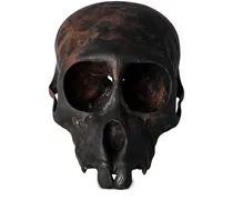 Monkey Skull Skulptur - Schwarz