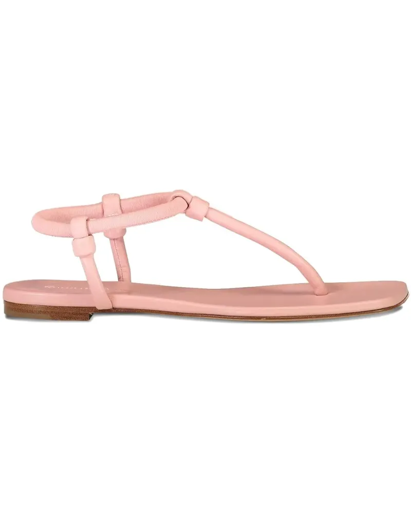 Gianvito Rossi Flache Juno Thong 05 Sandalen - Rosa Rosa