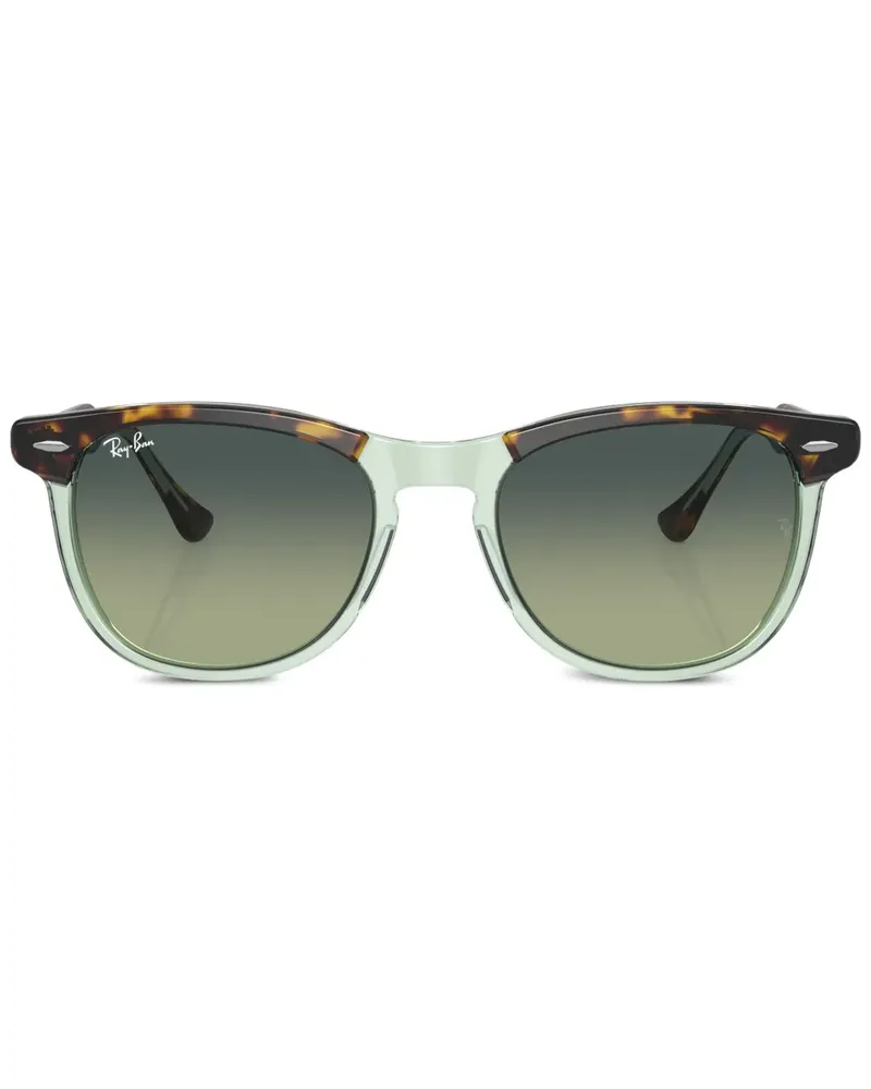Ray Ban Runde Eagle Eye Sonnenbrille - Braun Braun