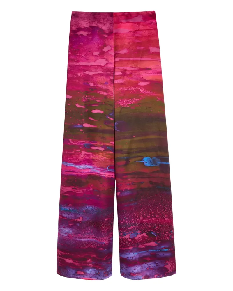 Roksanda Ilincic brush print trousers - Rosa Rosa