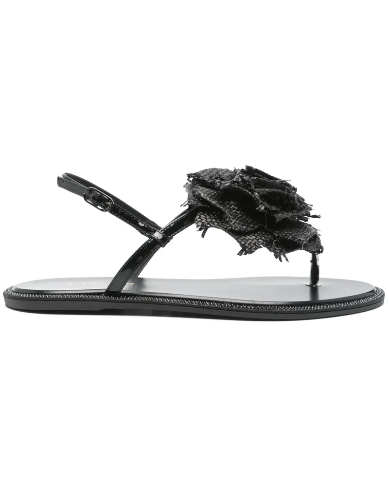 Le Silla Sandalen mit Blumenapplikation - Schwarz Schwarz