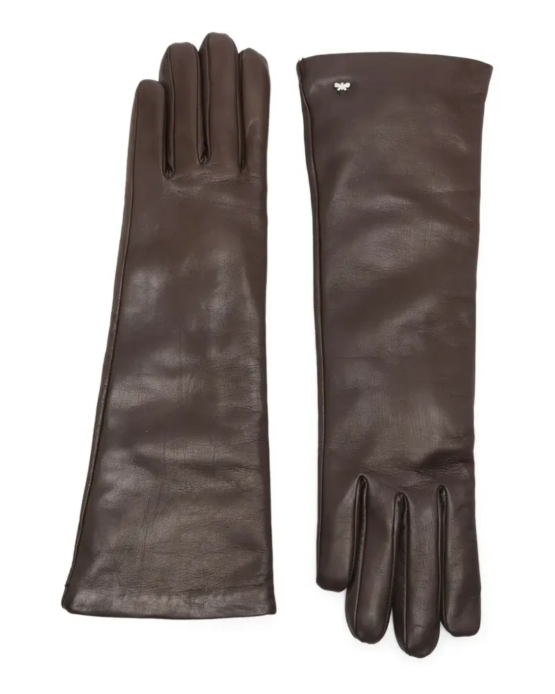 Max Mara Senape long length gloves - Braun Braun