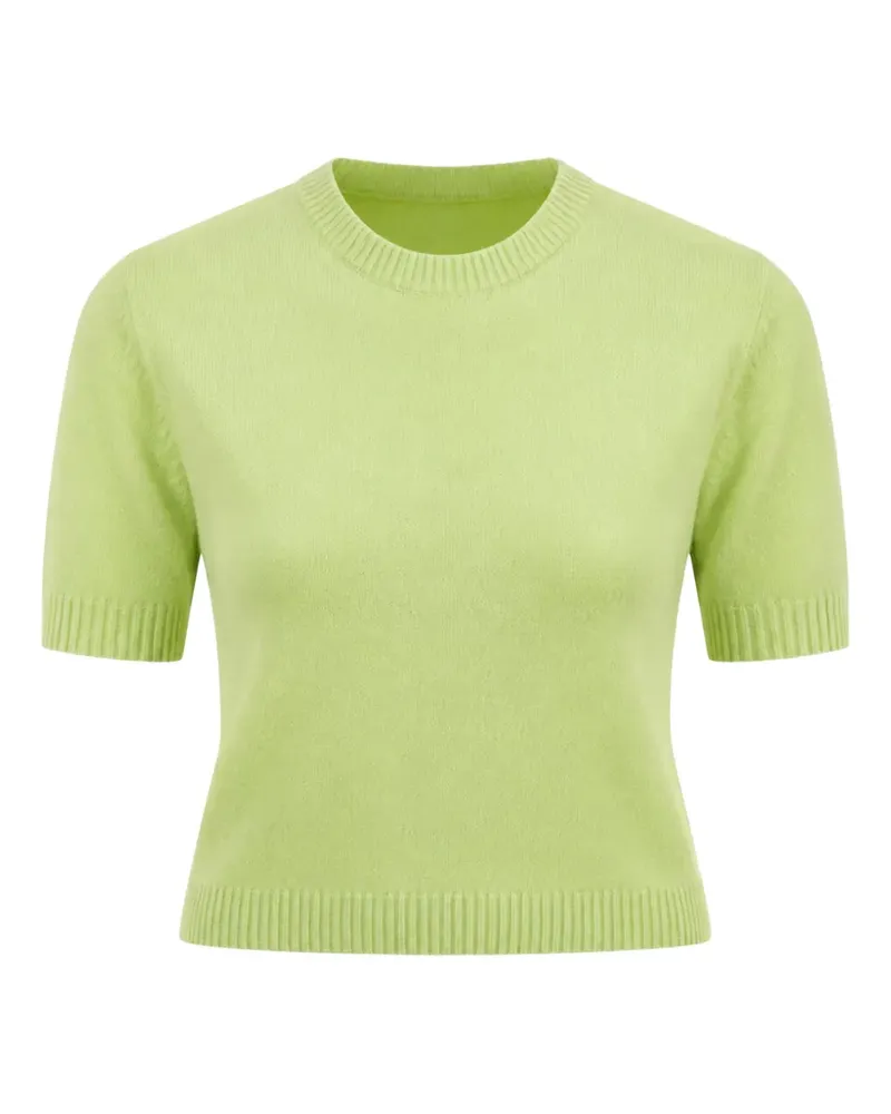 Autumn Cashmere crew-neck short-sleeve sweater - Grün Grün