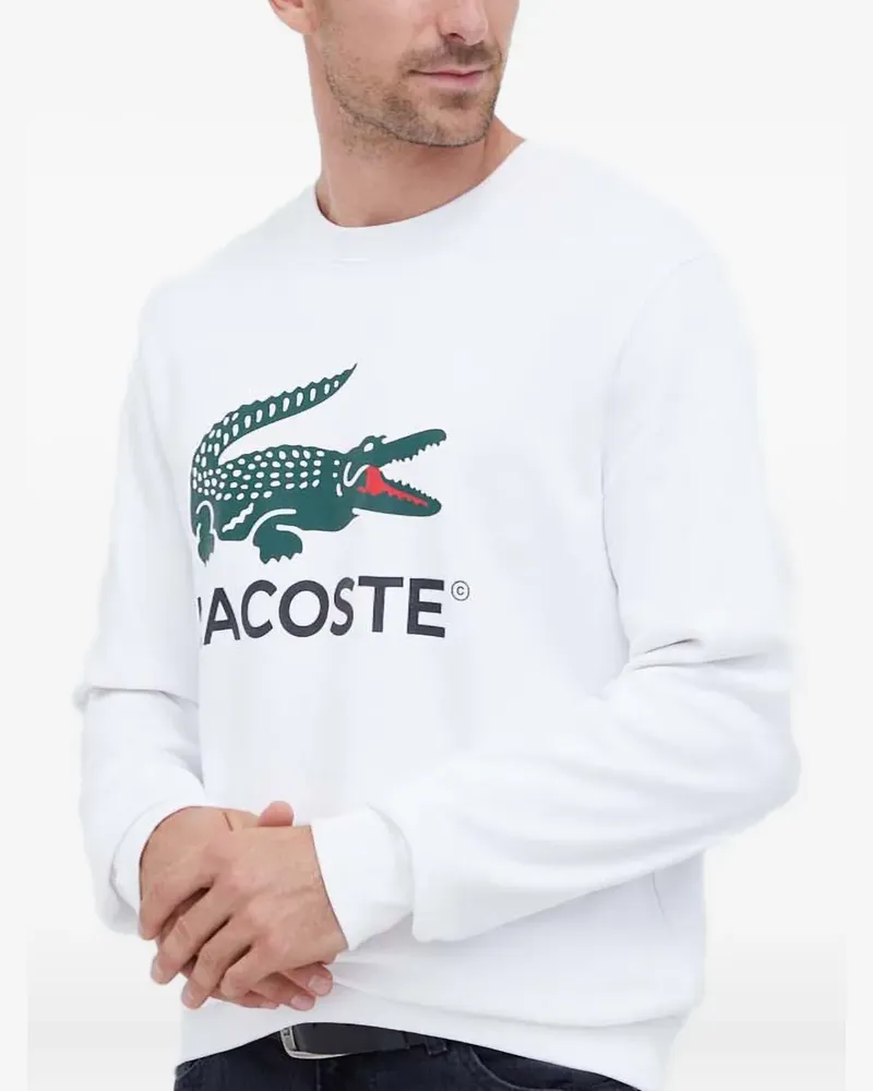 Lacoste Rundhalspullover mit Logo - Weiß Weiß