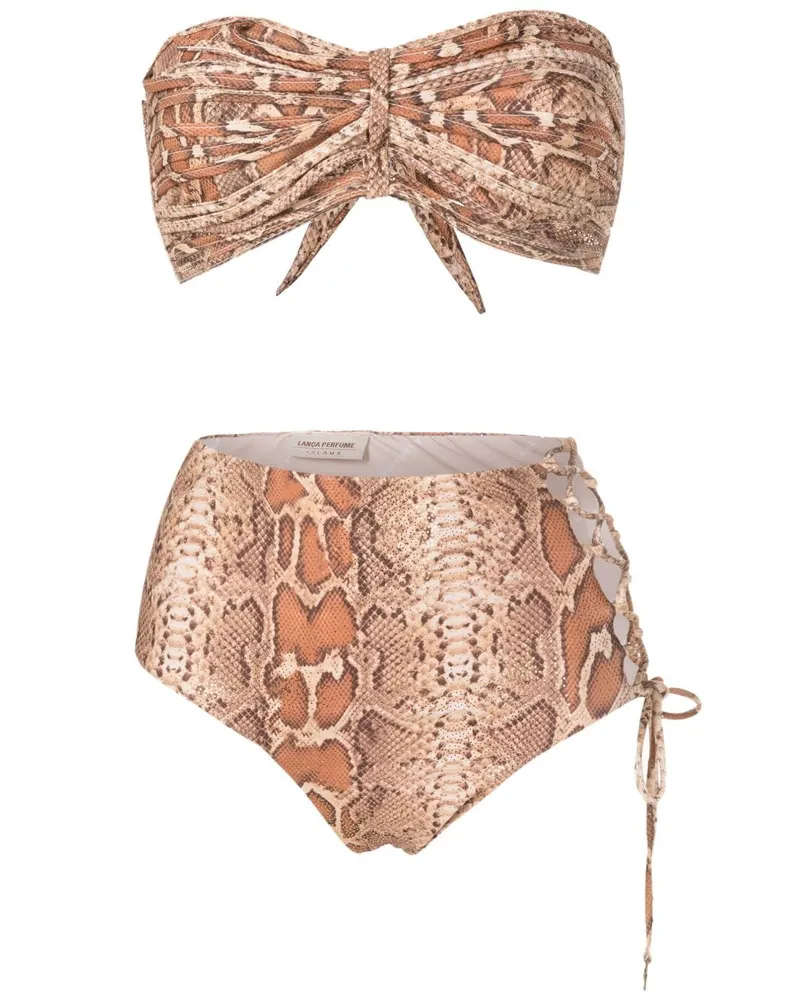 Amir Slama Bikini mit Print - Braun Braun