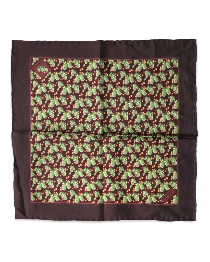 Dolce & Gabbana Einstecktuch mit Kaktus-Print - Braun Braun