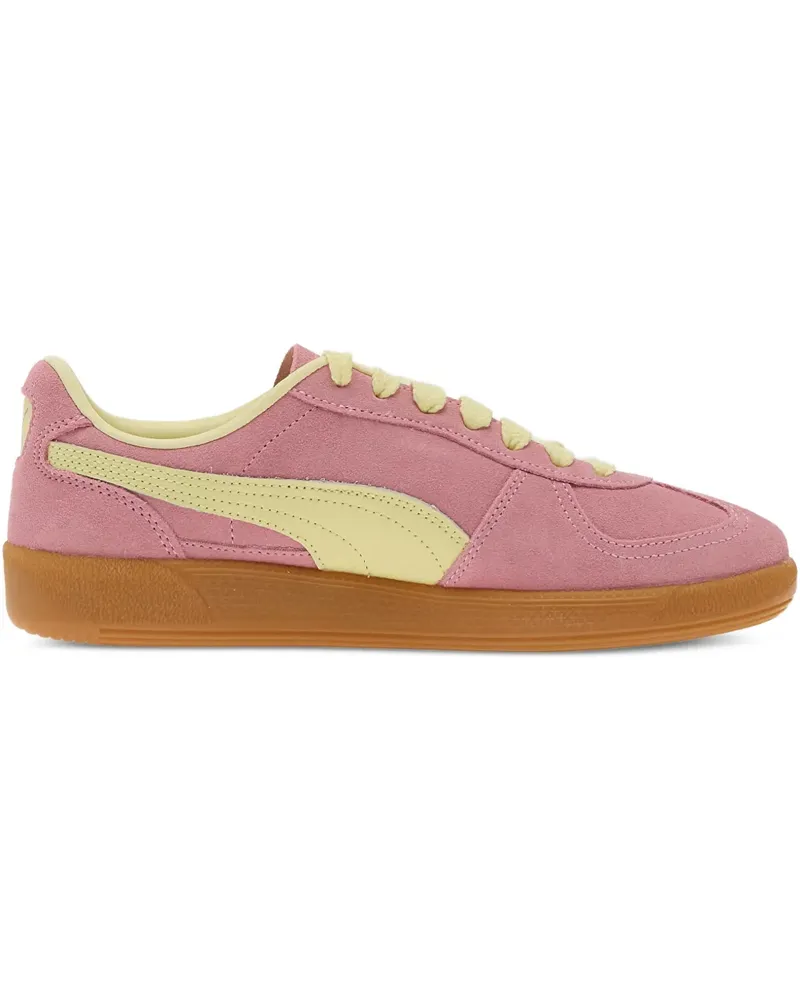 Puma Palermo lace-up fastening sneakers - Rosa Rosa