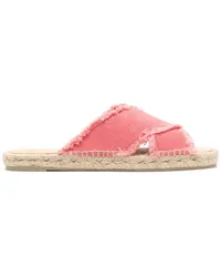 Castañer Espadrilles aus Canvas Rosa