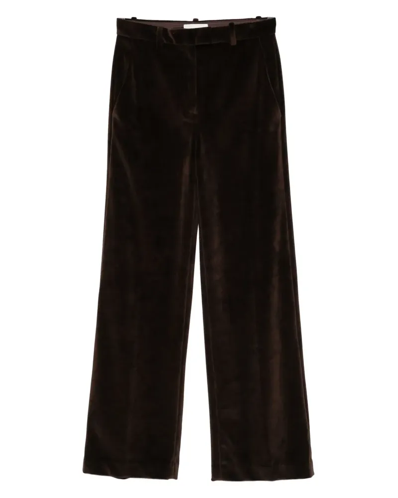 CIRCOLO 1901 Hose aus Samt - Braun Braun