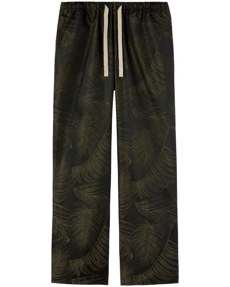 Palm Angels Jogginghose aus Palmen-Jacquard - Grün Grün