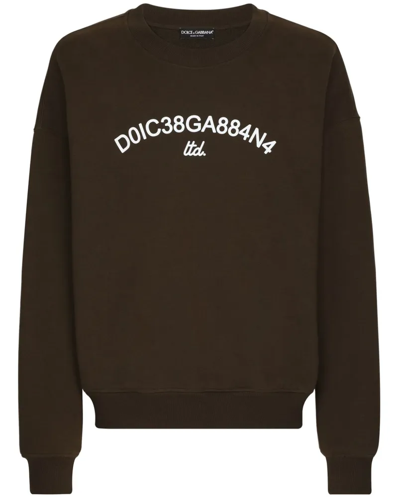 Dolce & Gabbana Sweatshirt mit Logo-Print - Braun Braun