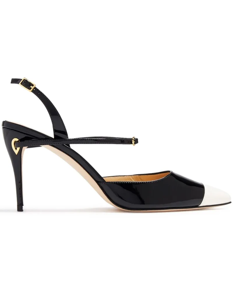 Jennifer Chamandi Vittorio Pumps 85mm - Schwarz Schwarz