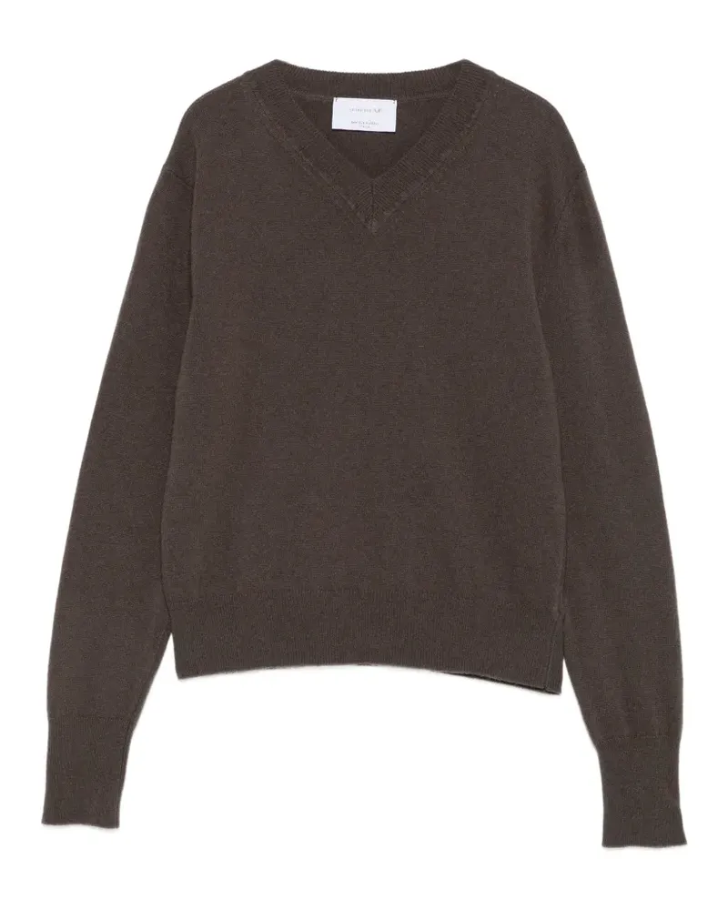 Daniele Fiesoli Kaschmirpullover mit V-Ausschnitt - Nude Nude