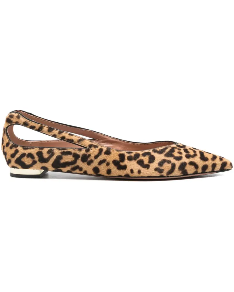 Aquazzura Ballerinas mit Leoparden-Print - Braun Braun