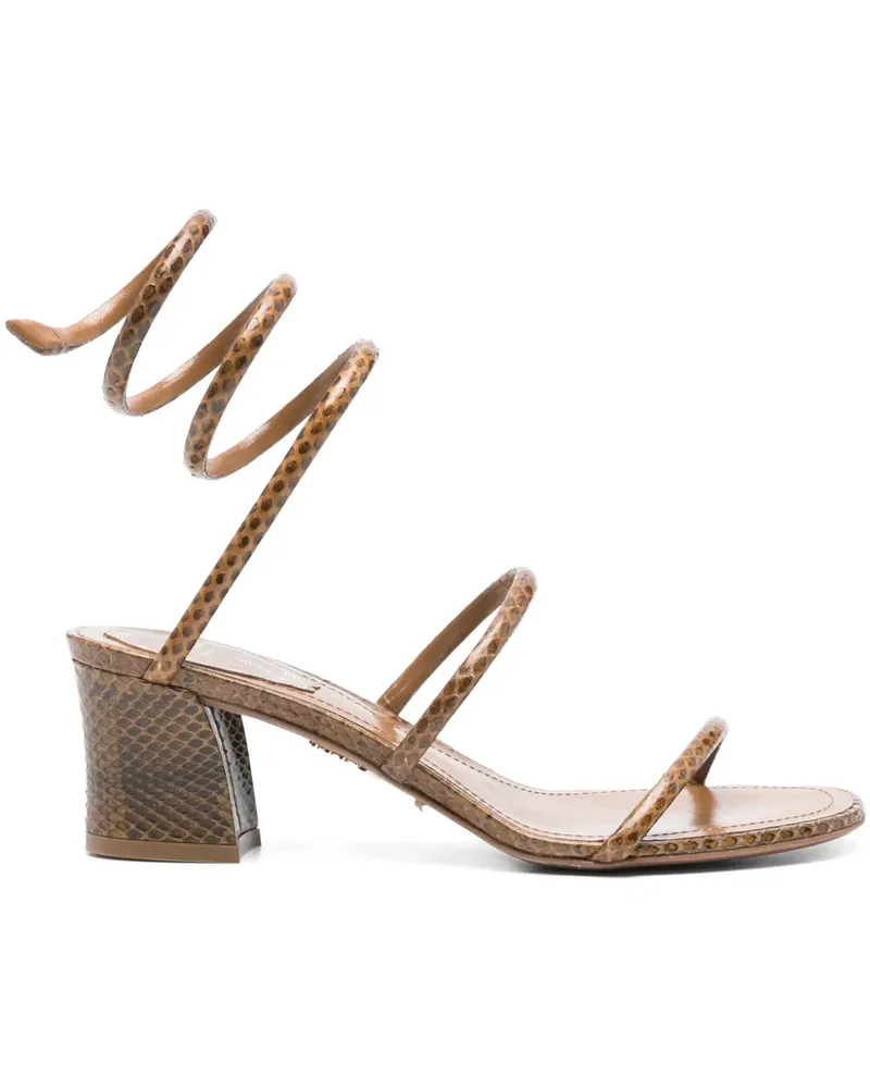 René Caovilla Cleo Sandalen 55mm - Braun Braun