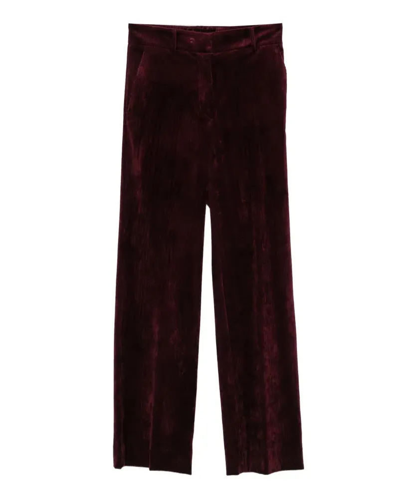 Antonelli Firenze Prunelli Cordhose - Rot Rot