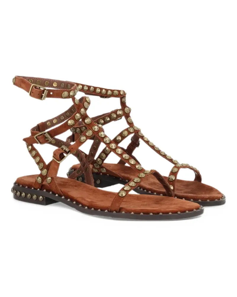 ash Play flat sandals - Braun Braun