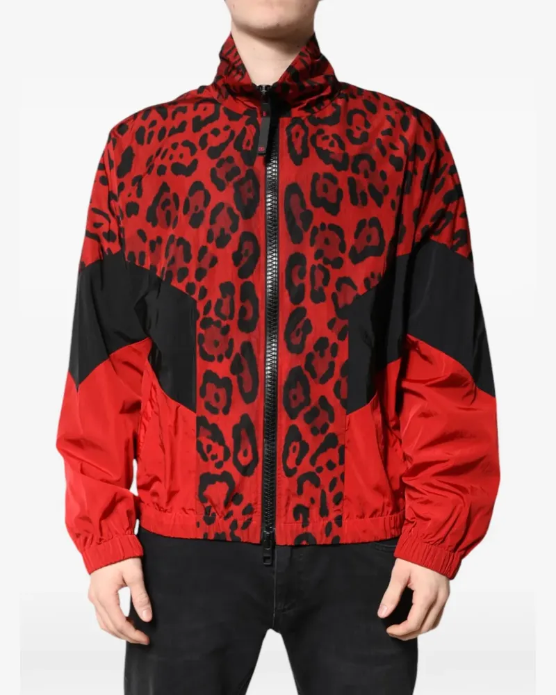 Dolce & Gabbana Bomberjacke mit Leopardenprint - Rot Rot
