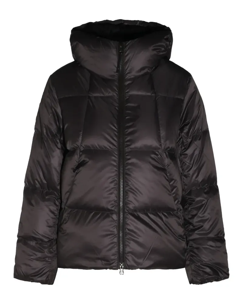 Goldwin quilted hooded jacket - Braun Braun