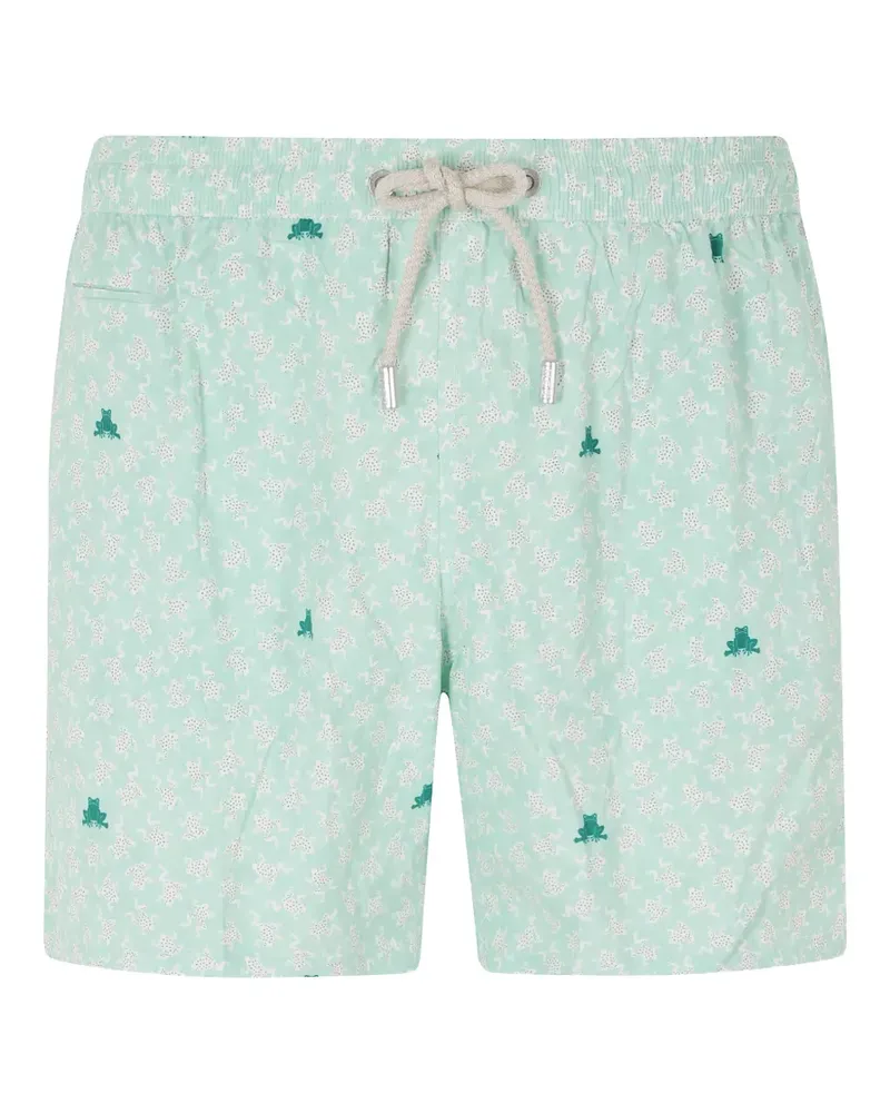 MC2 Saint Barth Lighting Micro frog-print swim shorts - Grün Grün