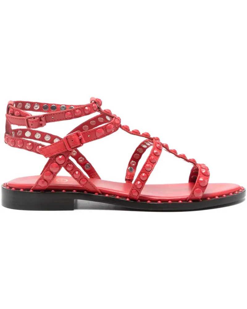 ash Precious studded sandals - Rot Rot