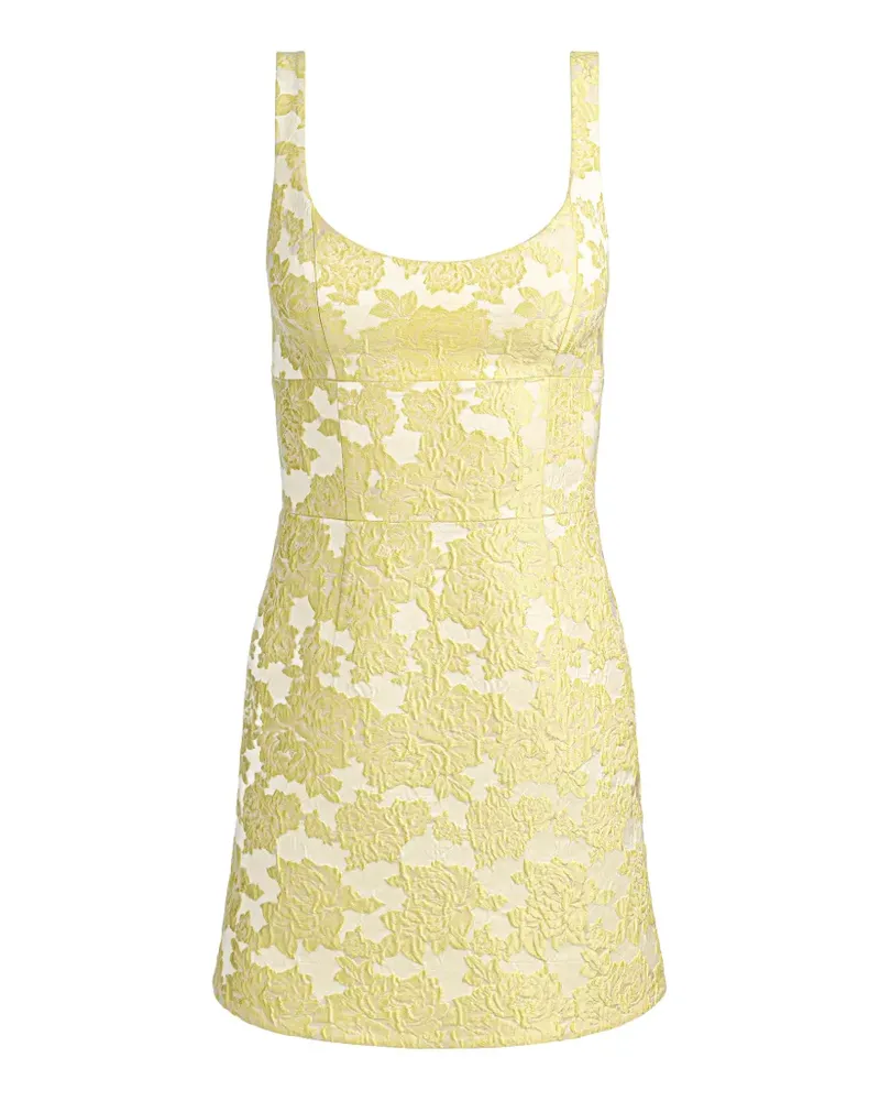 Alice + Olivia Charlotte floral-embroidereed mini dress - Gelb Gelb
