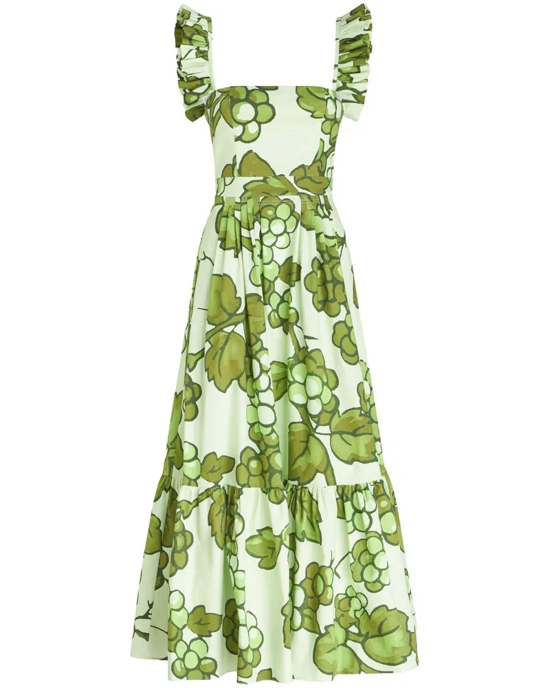 Etro Gerüschtes Maxikleid mit grafischem Print - Grün Grün