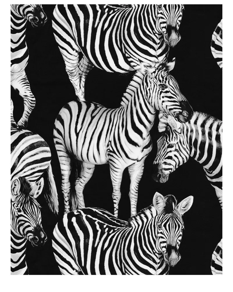 Dolce & Gabbana Tapete mit Zebra-Print - Schwarz Schwarz