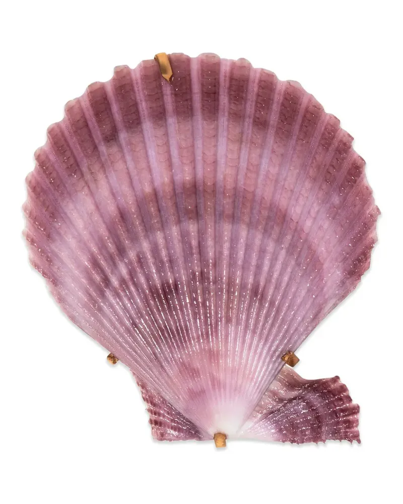 Jennifer Behr Paradis Haarspange im Muscheldesign - Gold Gold
