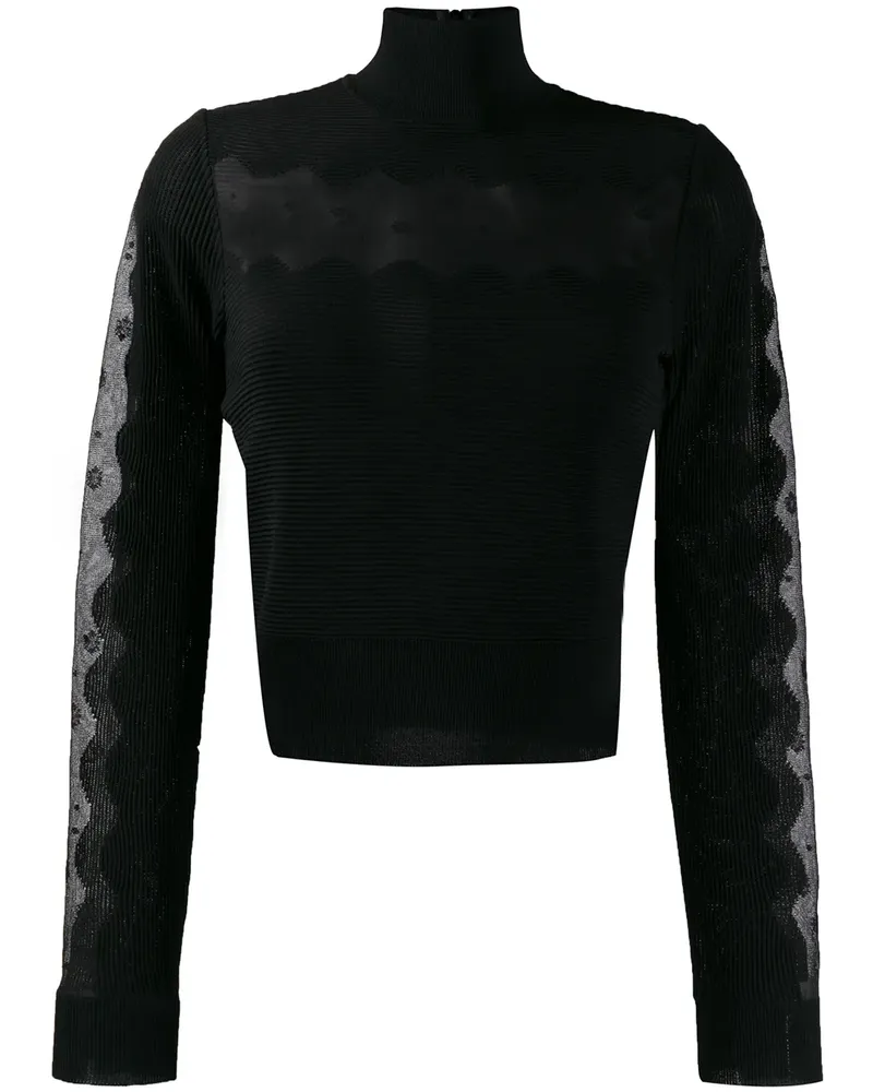 Alexander McQueen Rollkragenpullover mit Sheer-Effekt - Schwarz Schwarz