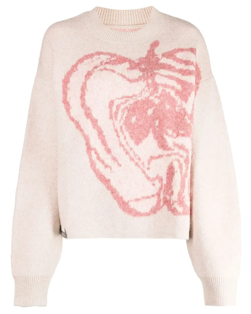 Izzue Klassischer Intarsien-Pullover - Rosa Rosa