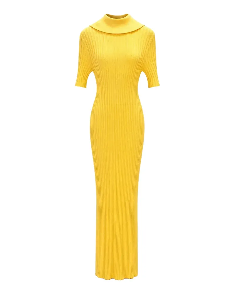 Elisabetta Franchi ribbed-knit roll-neck midi dress - Gelb Gelb
