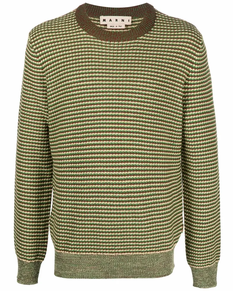 Marni Gestreifter Strickpullover - Grün Grün