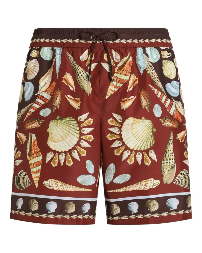 Dolce & Gabbana Badeshorts mit Muschel-Print - Braun Braun