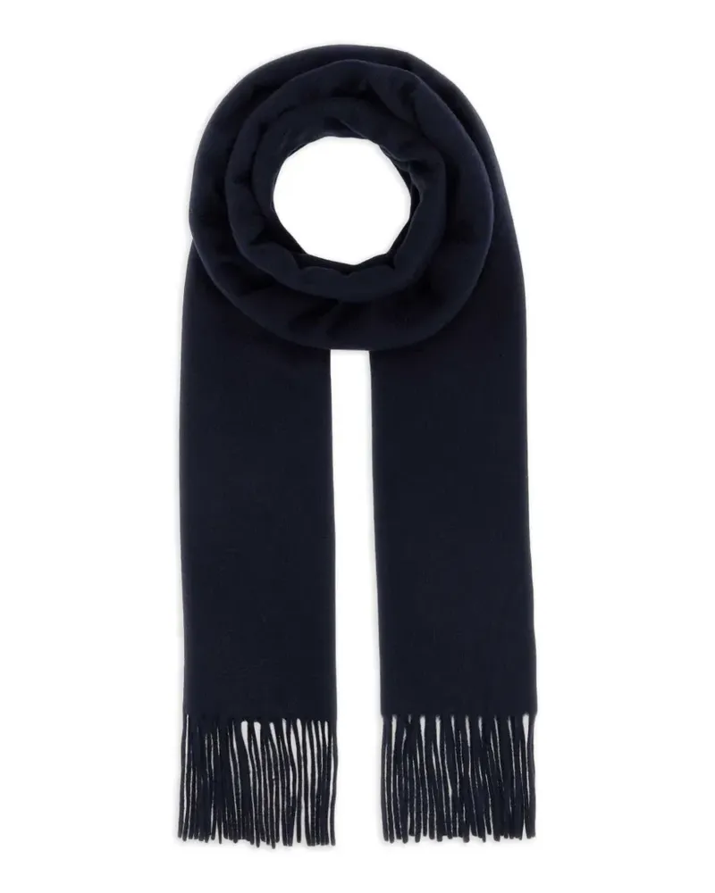 Max Mara Dalia cashmere scarf - Blau Blau